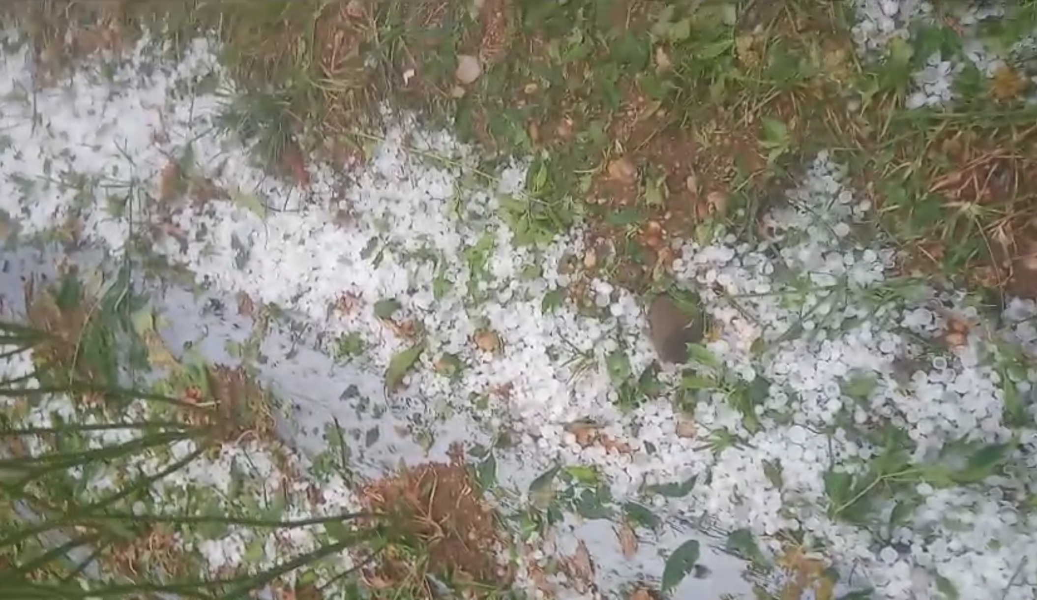 ಆಲಿಕಲ್ಲು ಮಳೆ.. ಇವತ್ತೂ ನಾಳೆ ಬರುತ್ತೆ.. ಸಿಡಿಲಿಗೆ ಸಿಗಲೇಬೇಡಿ..